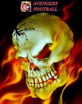 Avenger Nation Image-large